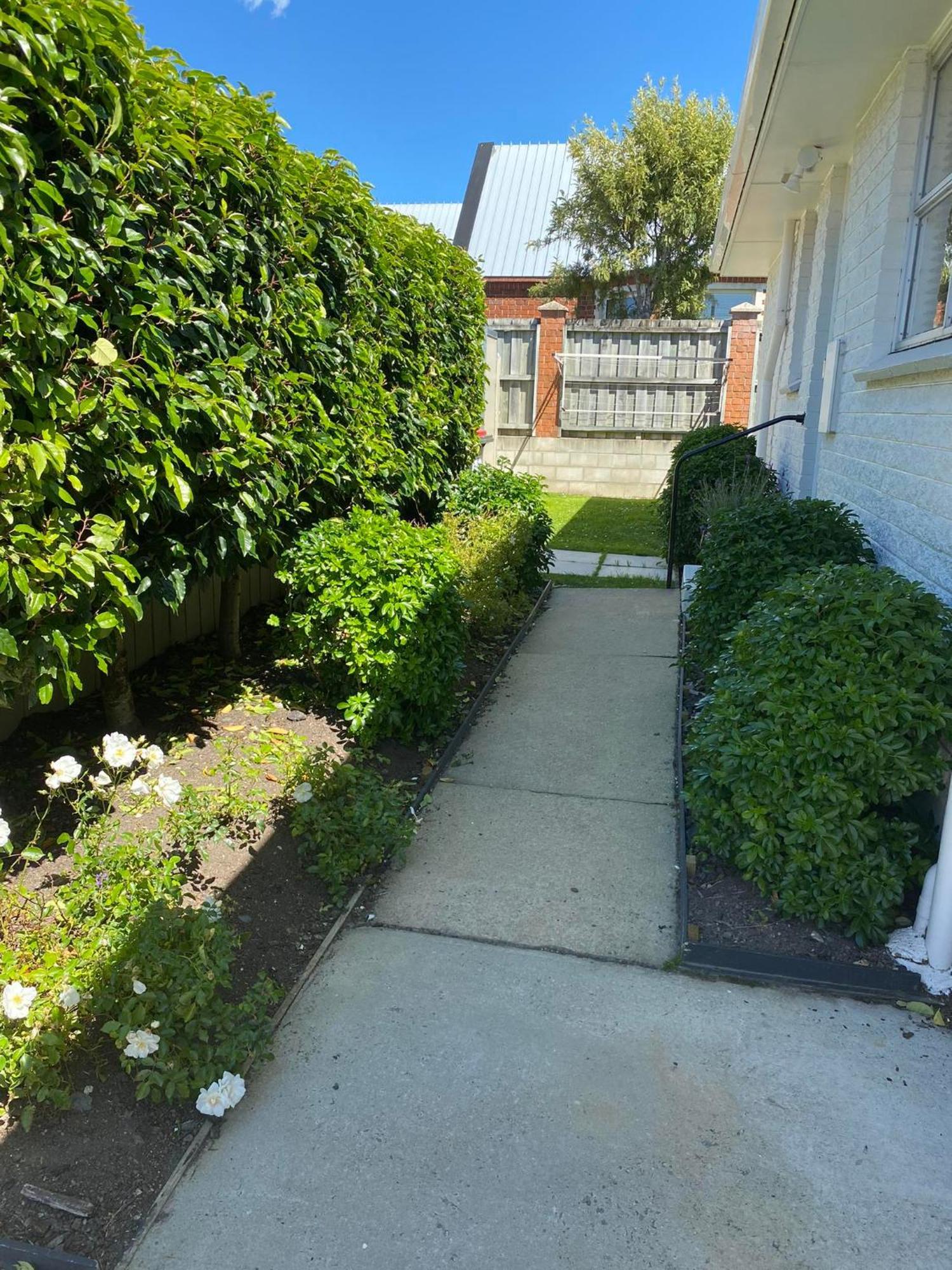253 On Highgate Leilighet Dunedin Eksteriør bilde